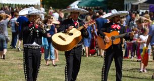 Great Dorset Chilli Festival