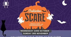 Cholderton Scare Breeds Farm 23rd October - 3rd November