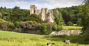 Old Wardour Castle
