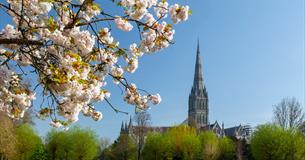 Coronation Celebrations at Salisbury Cathedral