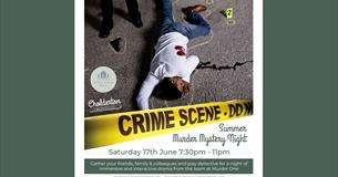 Summer Murder Mystery Night