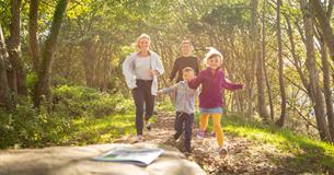 Treasure Trails