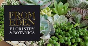 Indoor Succulent Gardens