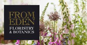 Summer Meadow Boxes