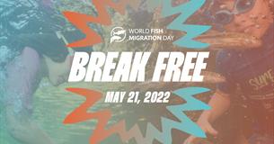 World Fish Migration Day Family Event