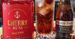 The Gin To My Tonic Festival