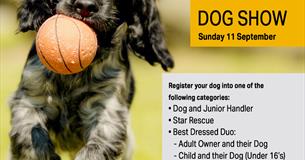 Salisbury Street Sellers - Dog Lovers Sunday!