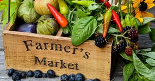 Farmers Market at River Bourne Community Farm