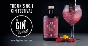 The Gin To My Tonic Gin, Rum, Vodka Festival Salisbury