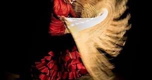 Flamenco Orígenes Masterclass