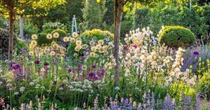 garden in wiltshire