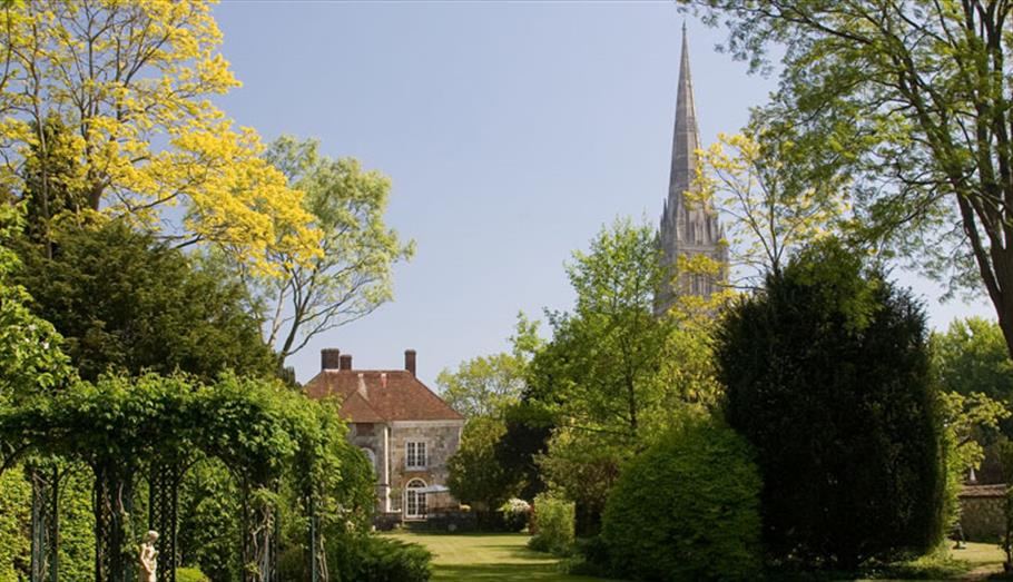 Arundells' garden