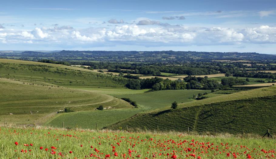 Areas Of Outstanding Natural Beauty in Wiltshire VisitWiltshire.co.uk