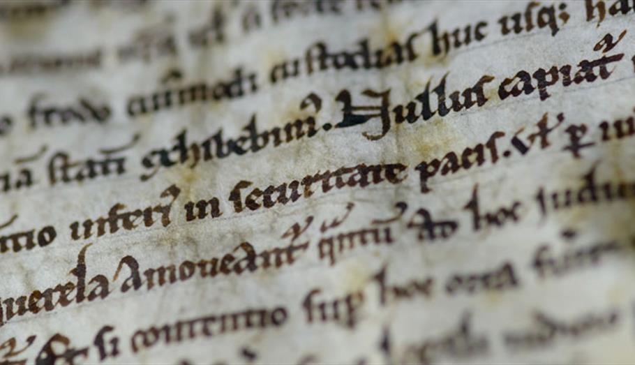 Magna Carta (C) Ash Mills