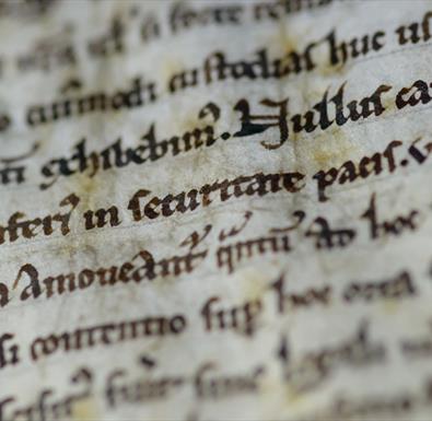 Magna Carta (C) Ash Mills
