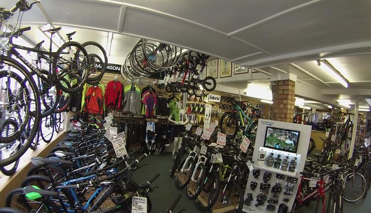 Hayball Cyclesport