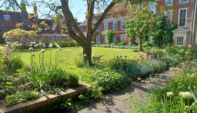 Baby Tree Time (sensory baby outdoor play)