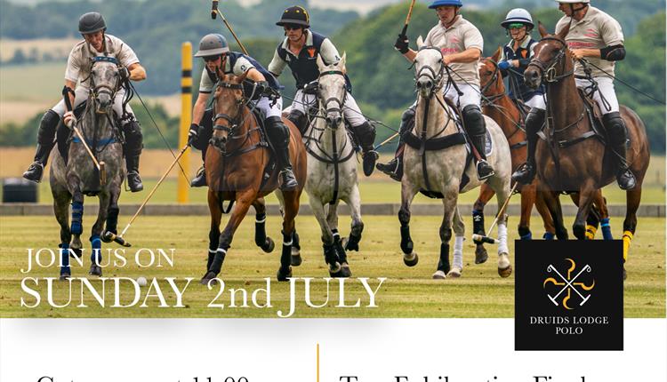 Druids Picnic Polo Series Balaclava Trophy