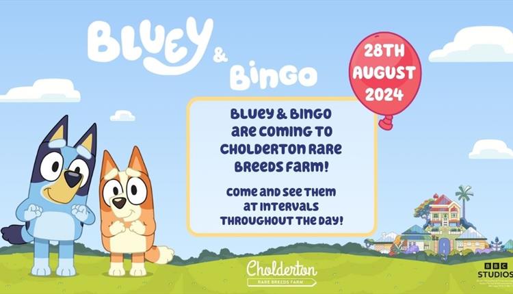 Bluey & Bingo on the Farm!