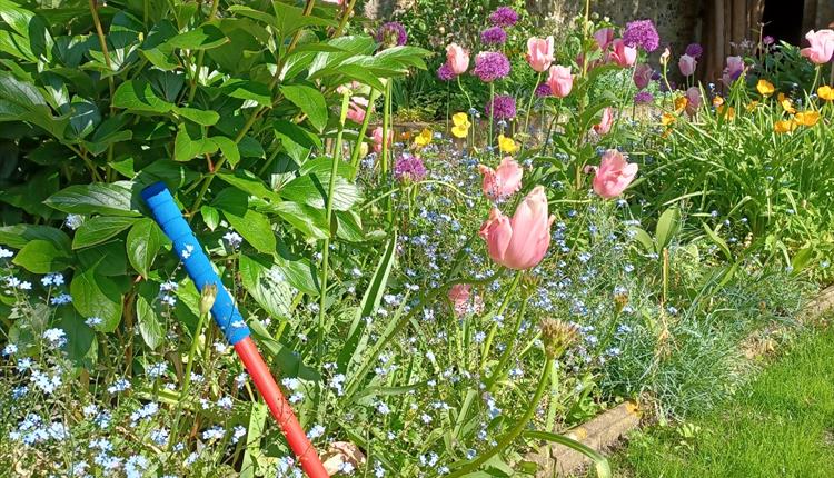 Festival of Blossom: spinning demonstrations