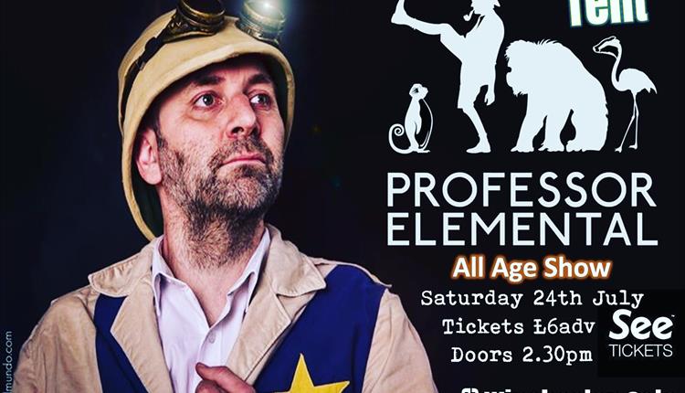 Professor Elemental