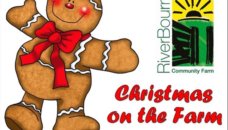 Christmas Fun on the Farm + Christmas Market
