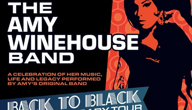The Amy Winehouse Band