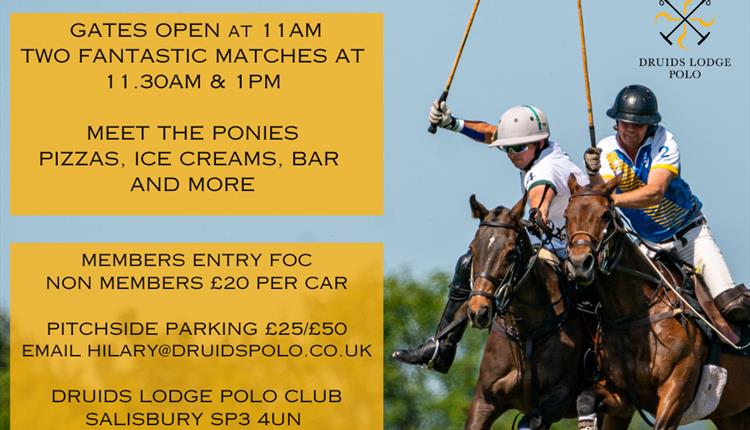 Picnic Polo Balaclava Trophy