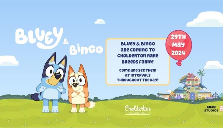 Farm Day Entry PLUS see Bluey and Bingo at intervals throughout the day