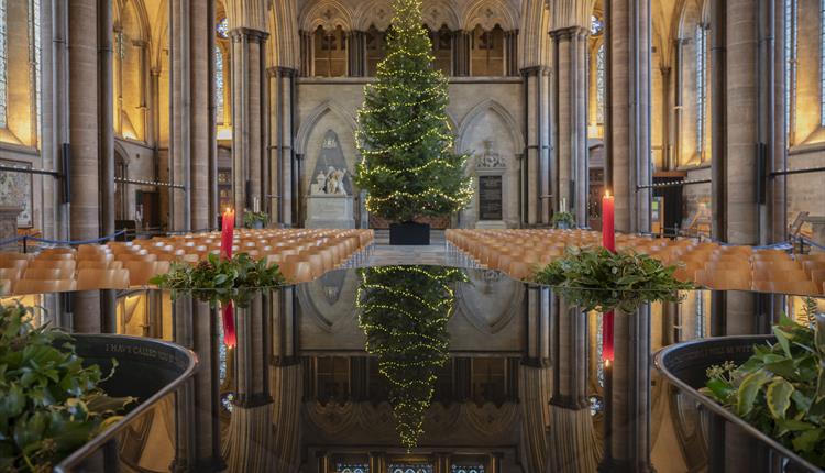 Christmas Tree inside Salisbury Cathedral