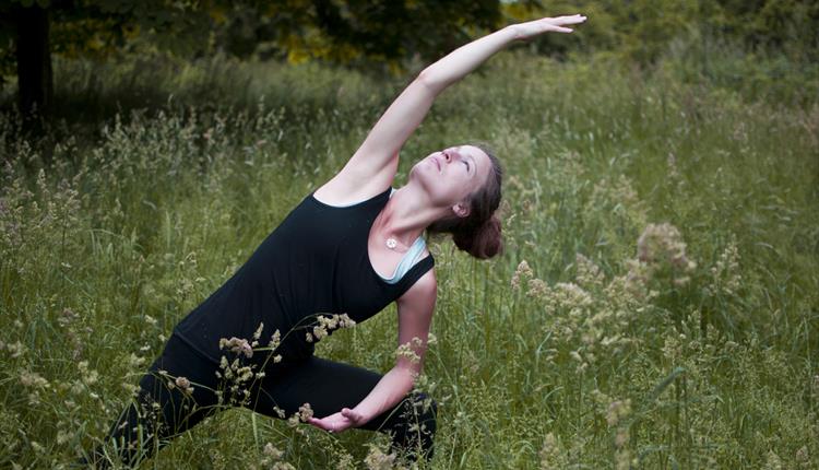 Midsummer yoga and foraging retreat