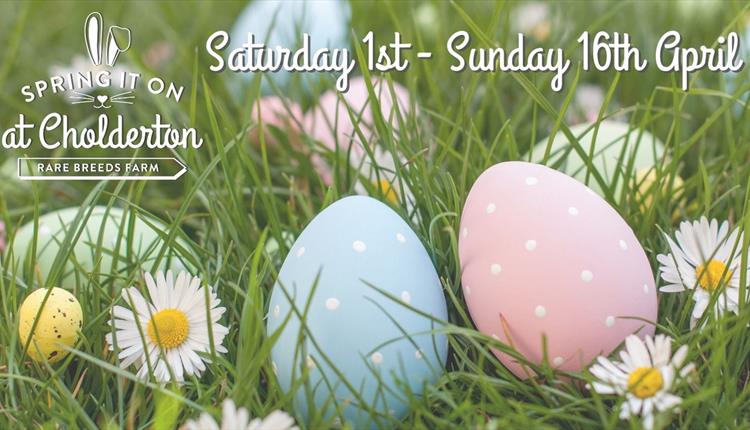 Easter Fun on the Farm - Spring it On!