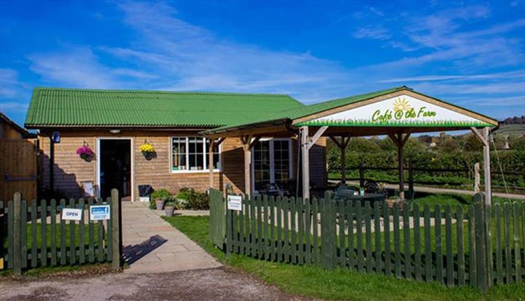 River Bourne Community Farm Visit Wiltshire