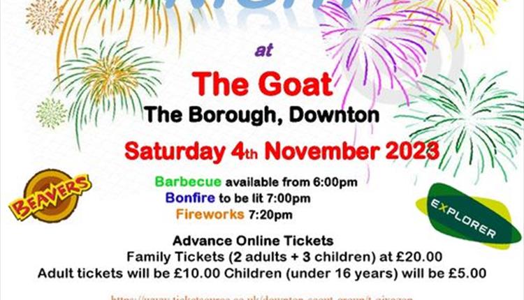 Downton Scouts Fireworks Night