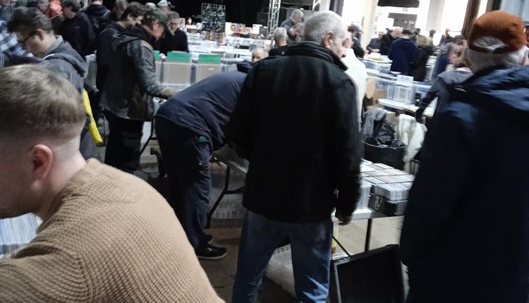 Salisbury Record Fair
