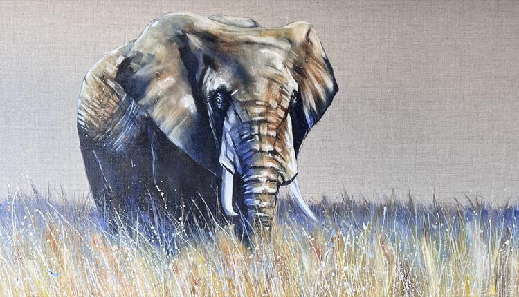 'Safari' by Louise Luton
