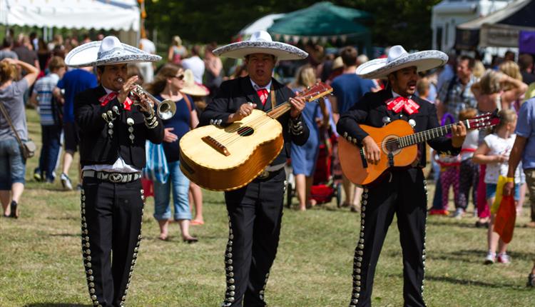 Great Dorset Chilli Festival
