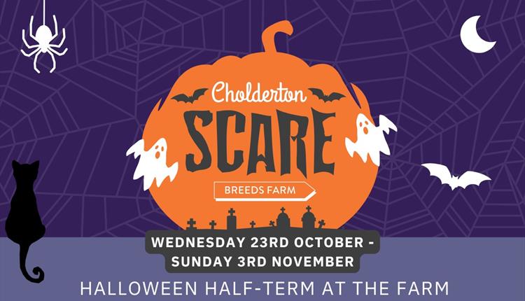 Cholderton Scare Breeds Farm 23rd October - 3rd November