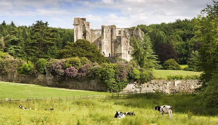 Old Wardour Castle

