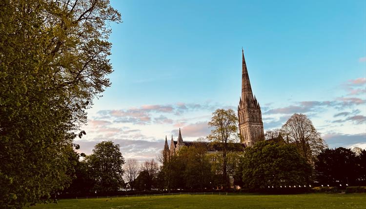 'English Tourism Week' Guided Walk - Harnham Water Meadows