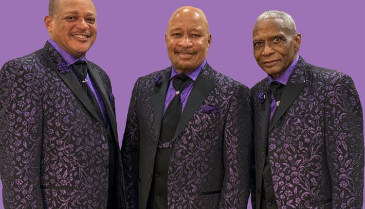 The Stylistics: Live In Concert
