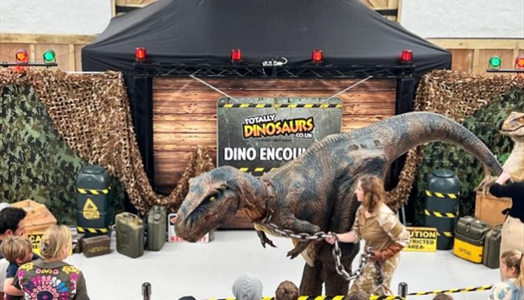 Totally Dinosaurs