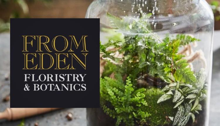 Make Your Own Terrarium