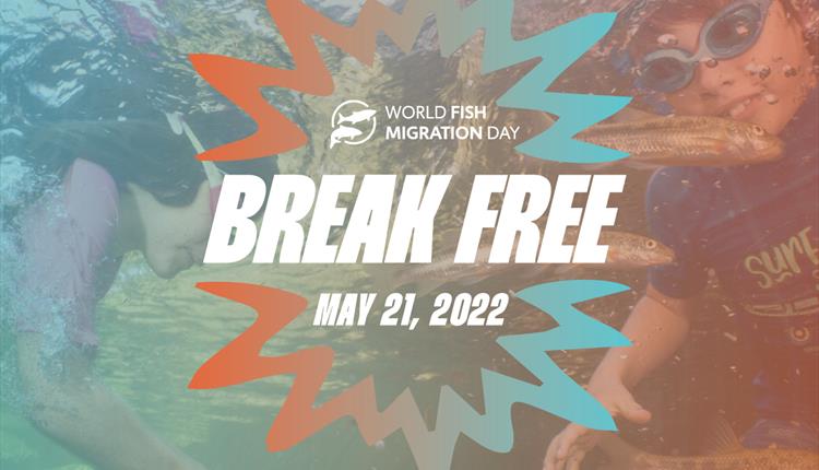 World Fish Migration Day Family Event