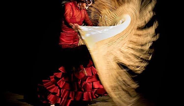 Flamenco Orígenes
