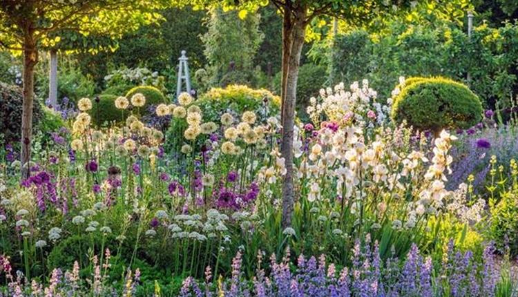 garden in wiltshire