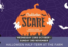 Cholderton Scare Breeds Farm 23rd October - 3rd November