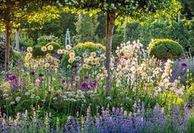 garden in wiltshire
