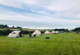 Marshwood Farm Camping