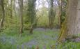 Marshwood Farm B&B